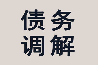 肥西追数公司